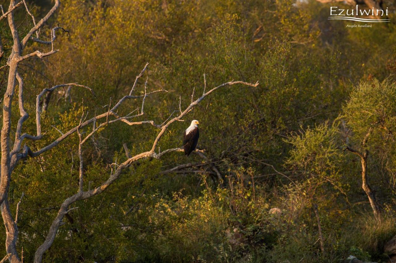 Ezulwini Game Lodges Mica Exteriér fotografie