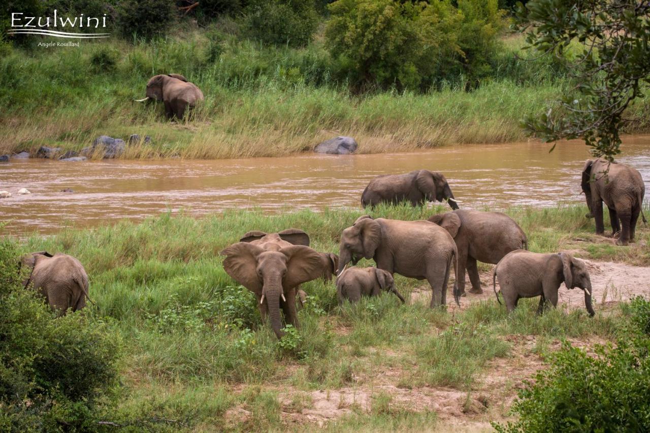 Ezulwini Game Lodges Mica Exteriér fotografie