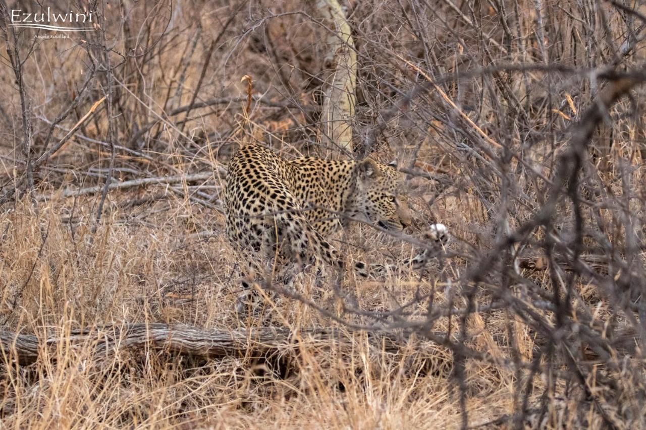 Ezulwini Game Lodges Mica Exteriér fotografie
