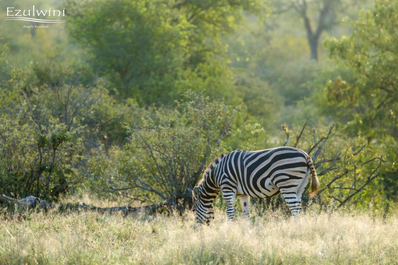 Ezulwini Game Lodges Mica Exteriér fotografie