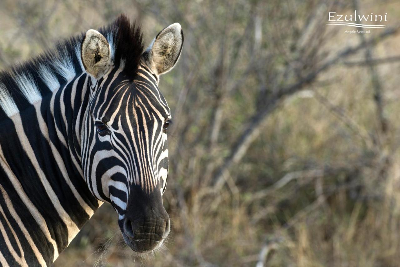 Ezulwini Game Lodges Mica Exteriér fotografie