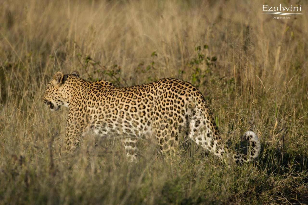 Ezulwini Game Lodges Mica Exteriér fotografie
