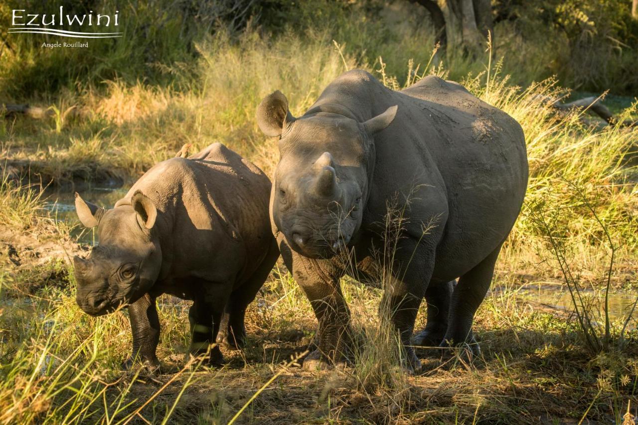 Ezulwini Game Lodges Mica Exteriér fotografie