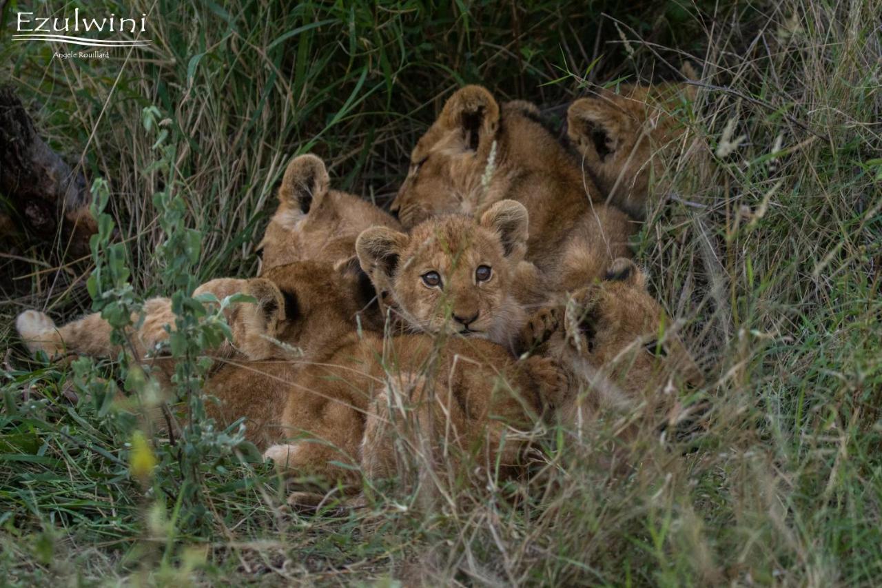 Ezulwini Game Lodges Mica Exteriér fotografie