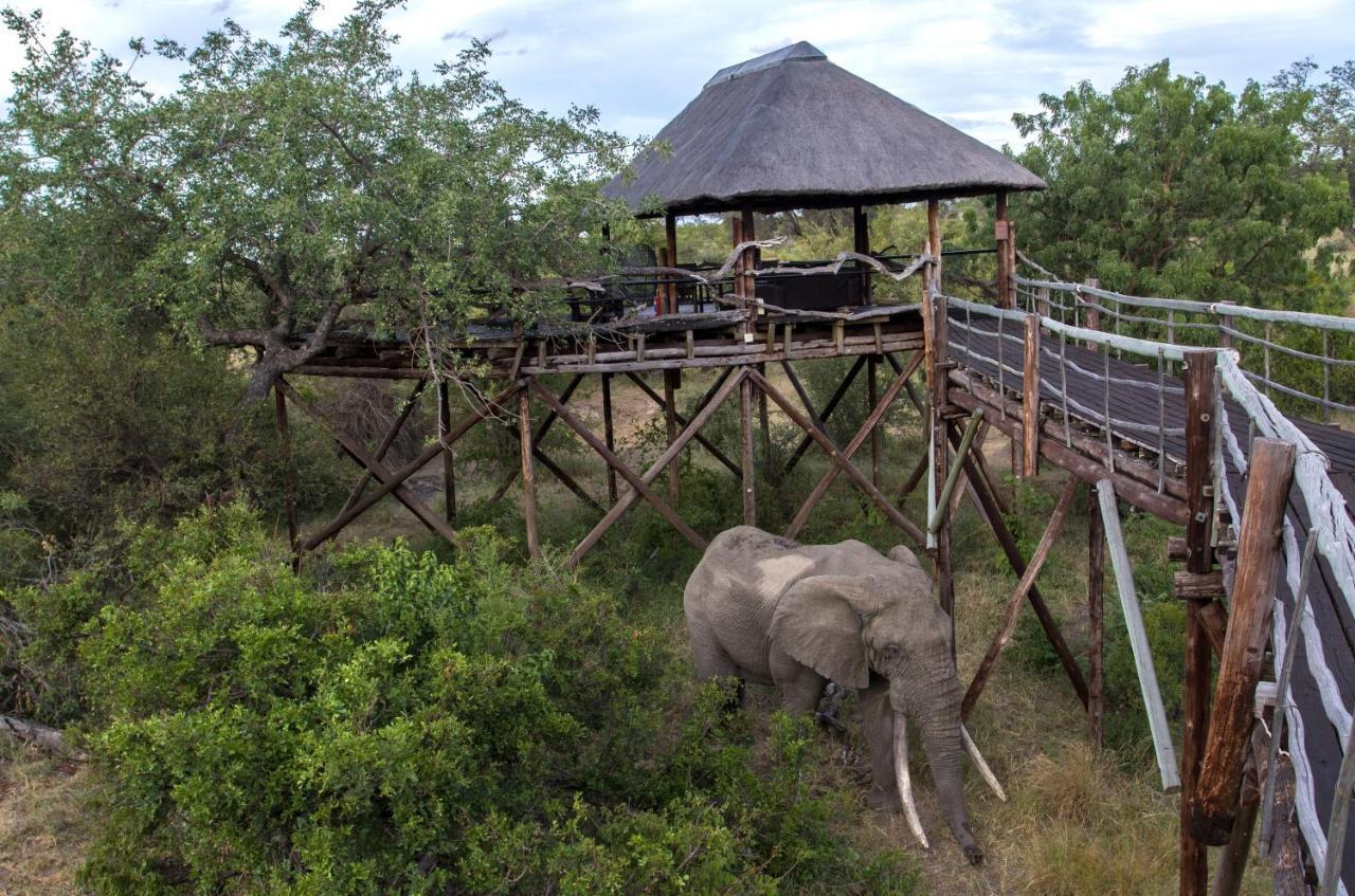 Ezulwini Game Lodges Mica Exteriér fotografie